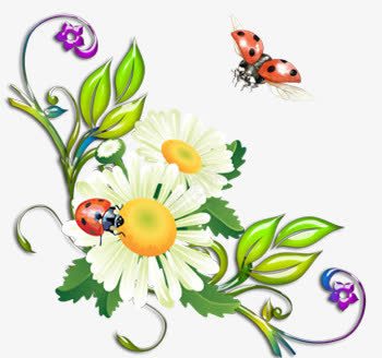 白色花朵绿叶甲虫装饰png免抠素材_88icon https://88icon.com 甲虫 白色 绿叶 花朵 装饰