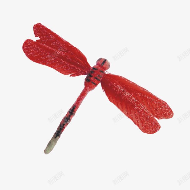 红色蜻蜓png免抠素材_88icon https://88icon.com 手绘 简图 红色 蜻蜓