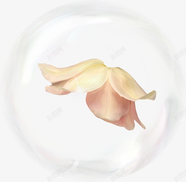 气泡png免抠素材_88icon https://88icon.com PNG 梦境 气泡 水泡 素材 花朵 装饰 透明