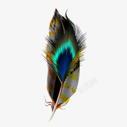 彩色羽毛素材