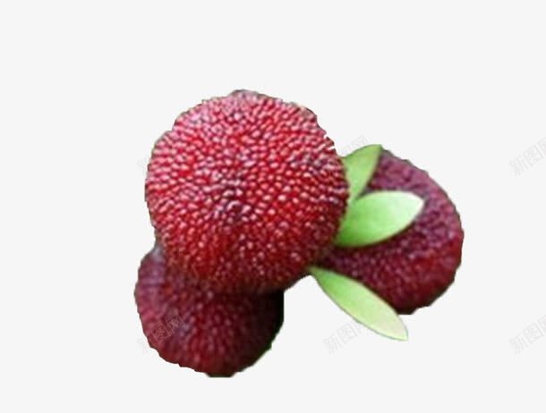 可口杨梅果类png免抠素材_88icon https://88icon.com 水果 水果图片 水果素材 红色 绿色 酸甜