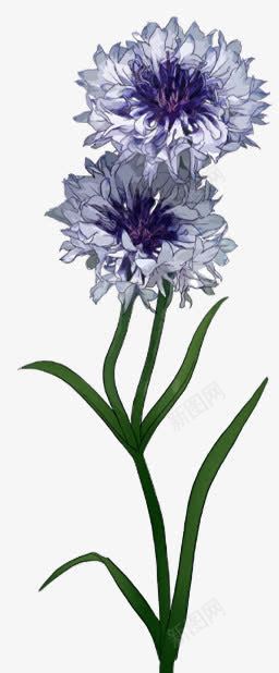 手绘紫色花朵装饰植物png免抠素材_88icon https://88icon.com 植物 紫色 花朵 装饰