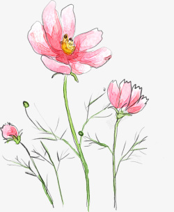 卡通可爱手绘粉红花朵素材