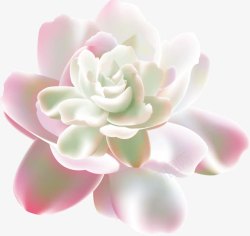 粉色唯美花朵创意素材