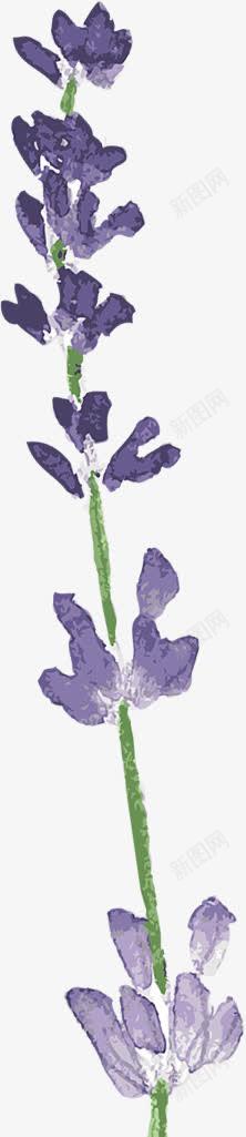 手绘紫色水彩复古花朵png免抠素材_88icon https://88icon.com 复古 水彩 紫色 花朵