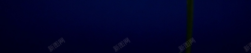 精美花卉类背景图31jpg设计背景_88icon https://88icon.com 精美 背景图 花卉类 高清