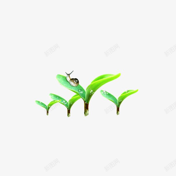 小草png免抠素材_88icon https://88icon.com 小草 植物 草苗