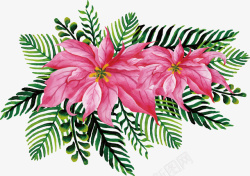 粉色水彩圣诞花朵矢量图素材