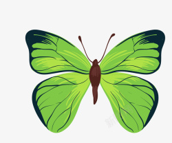绿色手绘的蝴蝶主题素材