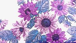 手绘紫色太阳花素材