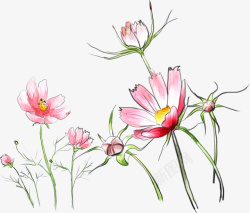 卡通可爱手绘粉红花朵素材