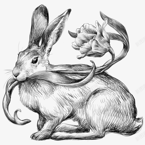 手绘黑白兔子png免抠素材_88icon https://88icon.com 兔子 手绘 手绘黑白兔子 手绘黑白兔子PNG 艺术 黑白