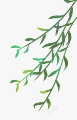 手绘插图清新春日迎风吹动的柳枝素材