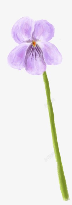 手绘紫色花朵花瓣可爱素材
