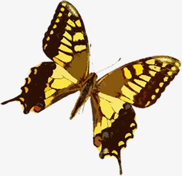 黄色卡通水墨蝴蝶png免抠素材_88icon https://88icon.com 卡通 水墨 蝴蝶 黄色