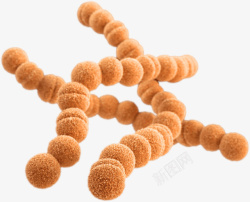菌微生物忧伤细菌微生物病毒金黄葡萄球菌高清图片