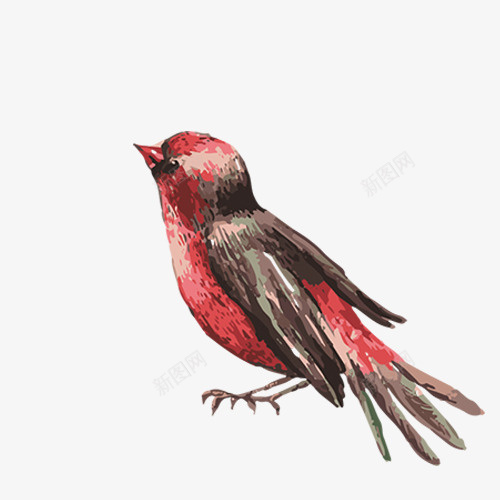 一只红色的鸟png免抠素材_88icon https://88icon.com 一只 手绘 红色 鸟
