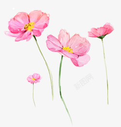 粉色梦幻鲜花装饰图案素材