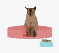 呆在猫窝里的可爱猫猫素材