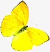 黄色卡通手绘蝴蝶装饰素材