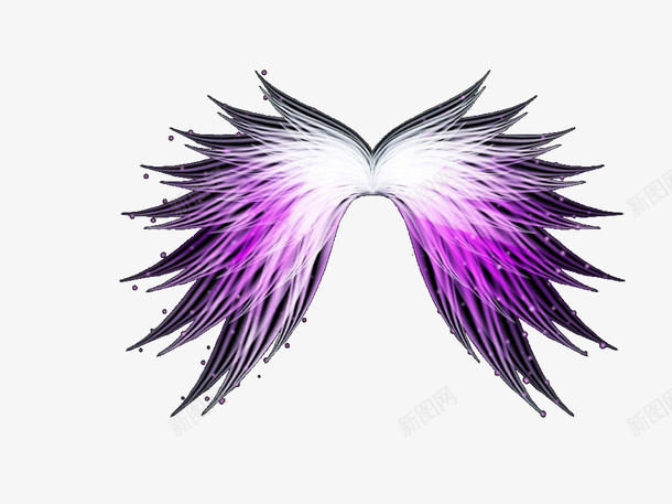 炫彩紫色翅膀png免抠素材_88icon https://88icon.com 效果元素 炫彩 紫色 翅膀