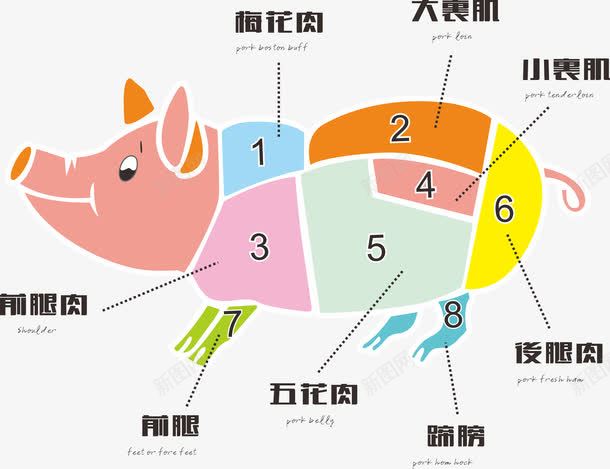 猪肉分割部位图png免抠素材_88icon https://88icon.com 分布图 卡通 彩色 手绘 猪肉分类