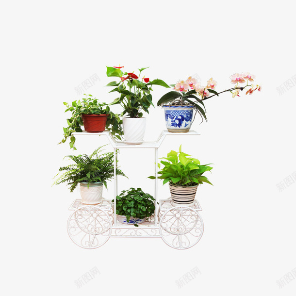 绿植花卉装饰png免抠素材_88icon https://88icon.com 绿植 花卉 装饰