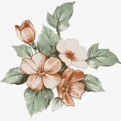 手绘花朵装饰花花唯美花瓣素材
