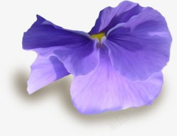 紫色漂亮花朵素材
