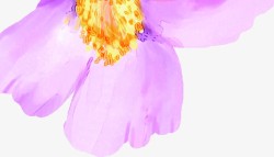 插画紫色花朵花瓣素材
