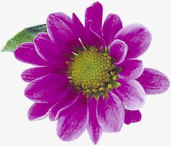 紫色创意水彩花朵素材