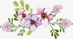 春季花朵装饰插画矢量图素材