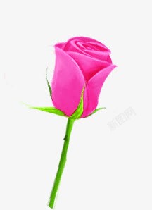 手绘粉色爱情花朵玫瑰素材