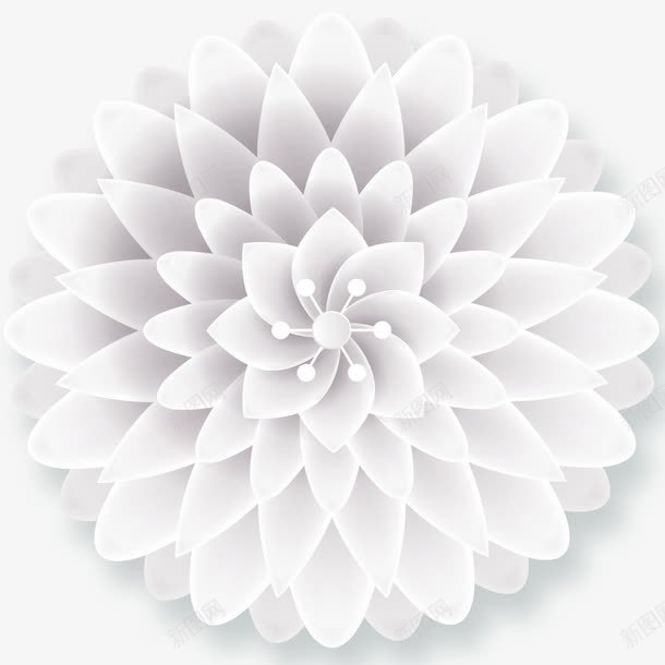 白色的花png免抠素材_88icon https://88icon.com png素材 白色 花 花朵