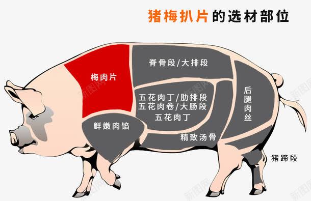 猪肉分部图png免抠素材_88icon https://88icon.com 猪图 猪肉 猪肉分部