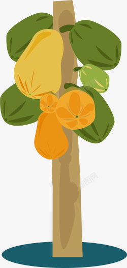香甜风格果树上的卡通木瓜高清图片