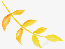 黄色水彩植物叶子素材