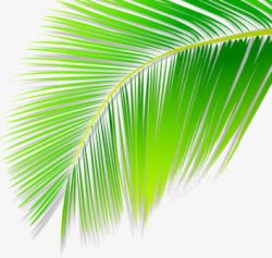 卡通植物夏日树叶素材