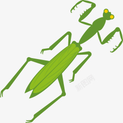 一只绿色动物螳螂矢量图素材