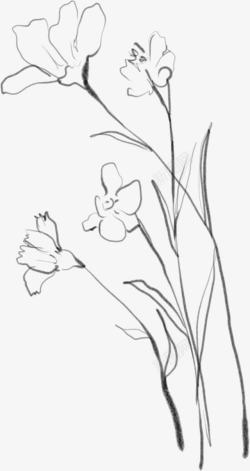 白色卡通手绘花朵美景素材