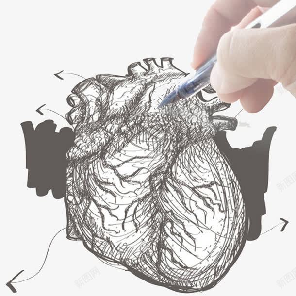手拿着笔手绘心脏元素png免抠素材_88icon https://88icon.com 心脏 手拿着笔 手绘心脏 矢量元素