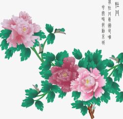 中国花卉手绘清新中国花卉高清图片