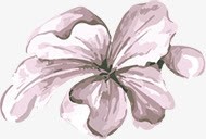 手绘紫色水彩花朵装饰素材