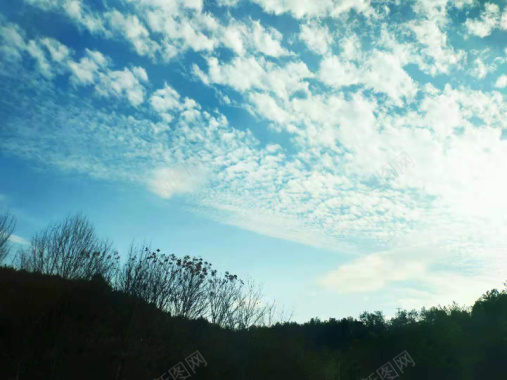 蓝天白云树木风景背景
