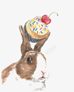 手绘兔子和蛋糕图素材