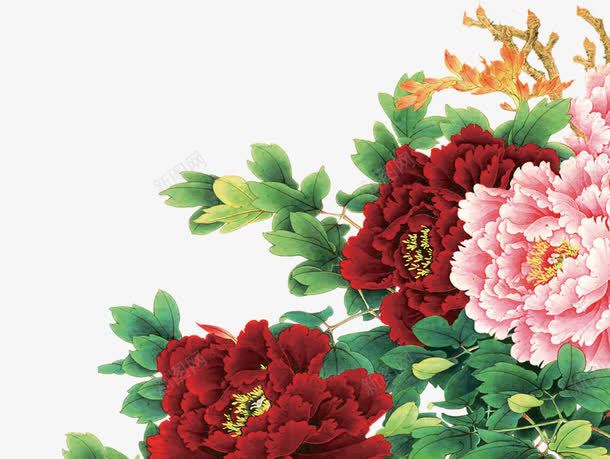 可爱大气花朵唯美png免抠素材_88icon https://88icon.com 可爱 大气 花朵