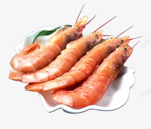 虾美食png免抠素材_88icon https://88icon.com 健康食品 美食 虾