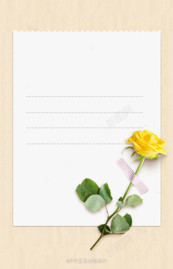玫瑰和信纸信纸黄色玫瑰高清图片