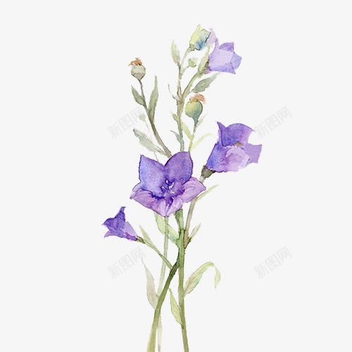 手绘蓝色花朵植物png免抠素材_88icon https://88icon.com 手绘 植物 素材 花朵 蓝色
