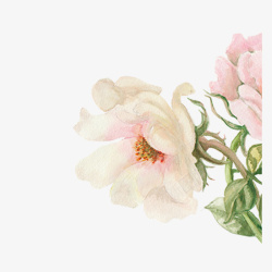 手绘水墨粉色花朵素材
